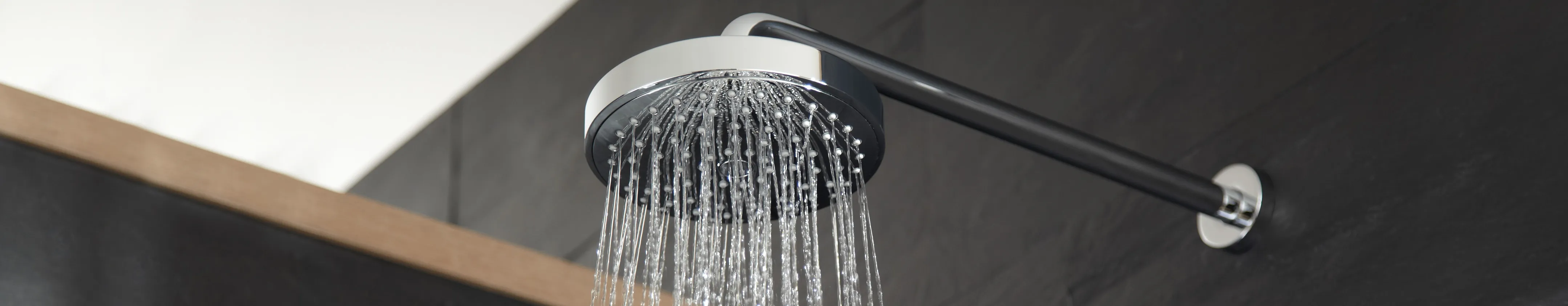 Die Duschbrause Elegance von Keuco.