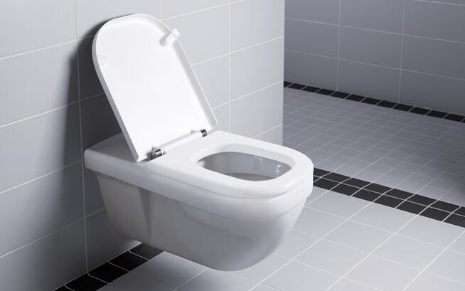 Geberit Renova Comfort