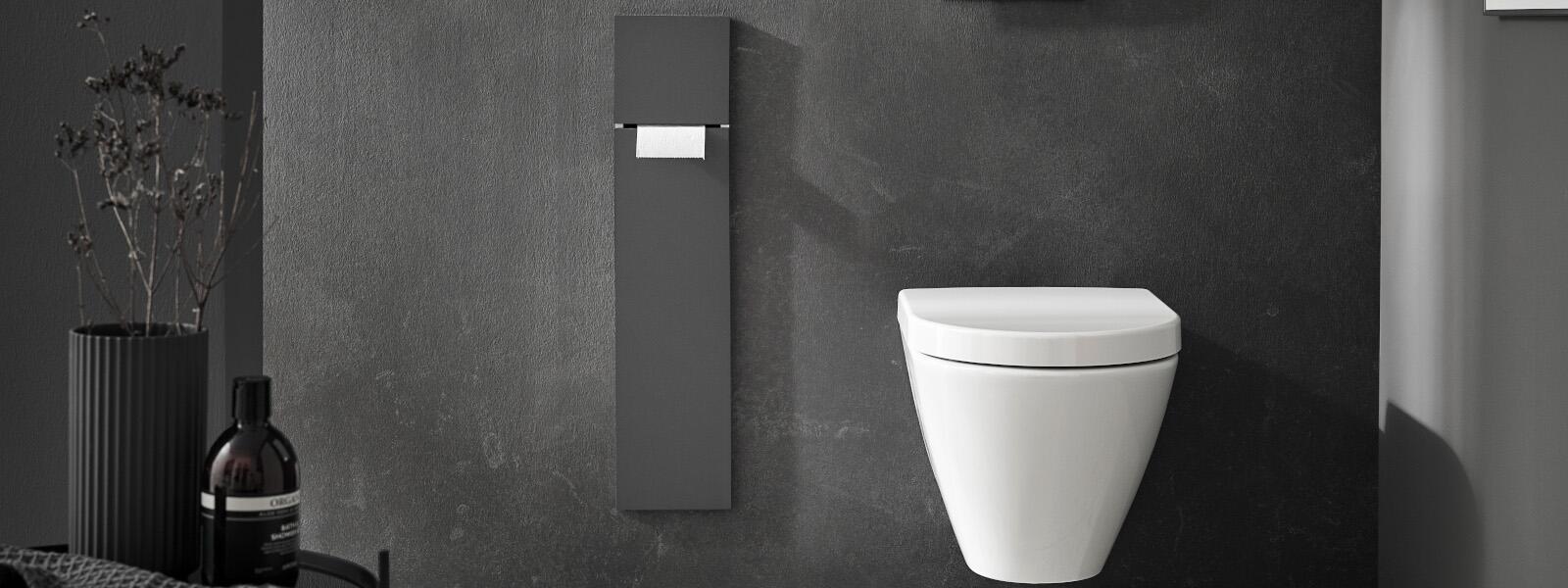 Emco WC-Modul Asis Pure